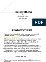 Photosynthesis explained: process, reactants, products and comparison to respiration