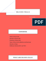 The Functions and Types of Blood Cells