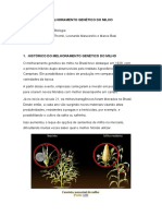 Melhoramento genético do milho: histórico, objetivos e biotecnologia