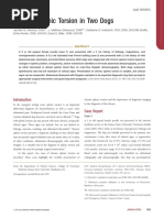 Chronic Splenic Torsion in Two Dogs
