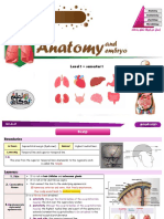 anatomy 8 scalp تعلم بذكاء