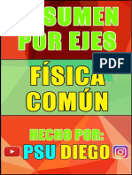 PSU Diego - Resumen Por Ejes - Física Común