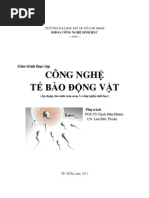 Download Giao Trinh Tt Cntb Dv by Ji Woo SN62483103 doc pdf