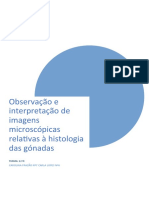 Relatório Biologia Filo