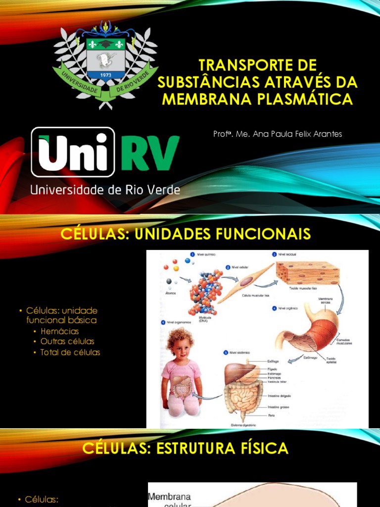 Transporte de Substâncias na Membrana Plasmática | PDF | Membrana ...