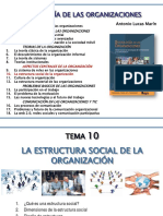 10 - La Estructura Social en La Organización