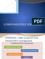 MM - Componentele Strategiei