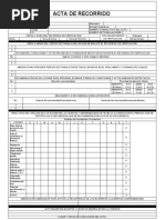 Programa y Acta de Recorridos de Verificacion | PDF | Riesgo | Ciencias