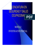 El_Perito_-Concepto_Actualizado