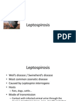 Leptospirosis