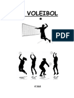 Apuntes Voleibol