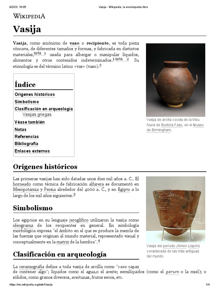 QUE ES VASIJA visual data 3