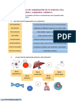 Niveles de Organización II
