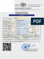 Lexico Inc Servcie License