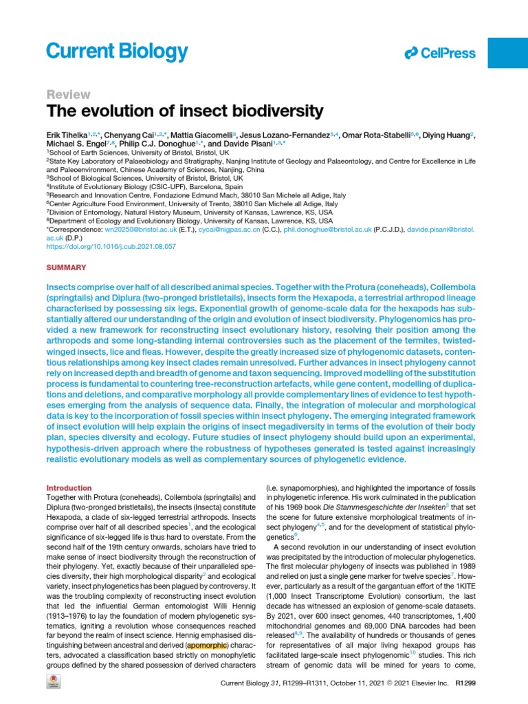 The Evolution of Insect Biodiversity | PDF | Point Mutation ...