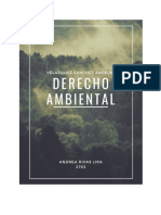 Derecho Ambiental