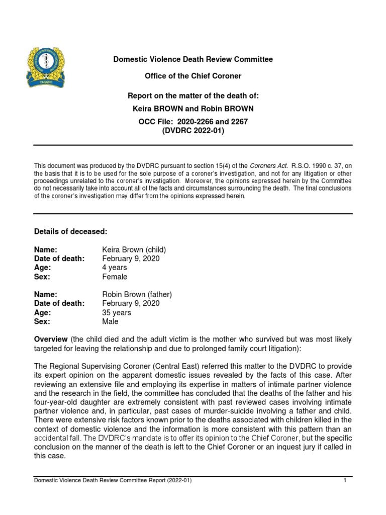 domestic-violence-death-review-committee-report-pdf-domestic