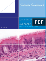 Sistema Respiratório