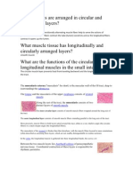 Circular and Longitudinal Layers