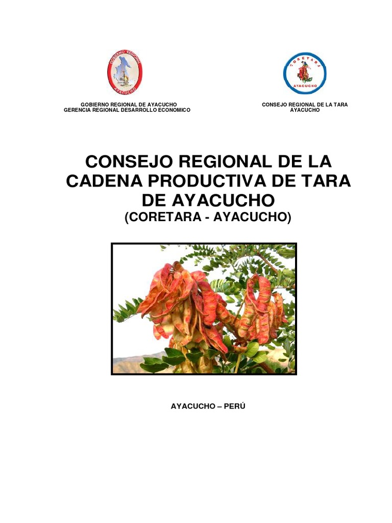coretara-pdf-economias