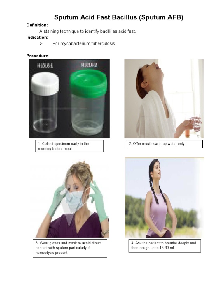Sputum AFB and Pleurodesis Procedures | PDF