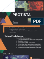 PROTISTA