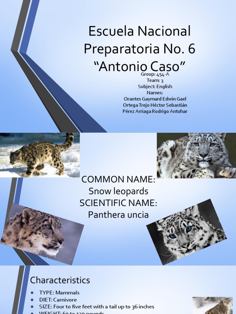 Snow Leopard | Download Free PDF | Leopard
