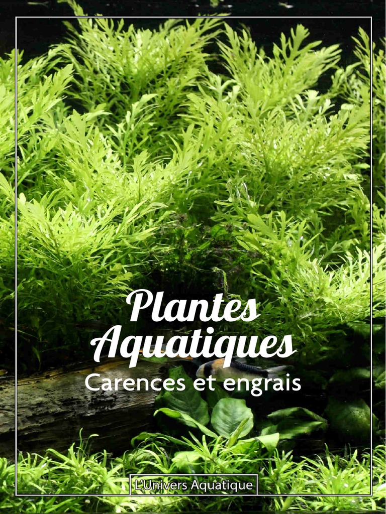 Carences des plantes aquatiques PDF Fertilisant Dioxyde de carbone — free download