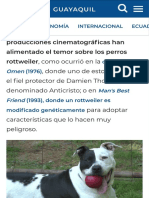 ¿Representan Un Riesgo Los Perros Pitbulls y Rottweilers para Que Se Prohíba Su Ingreso Al Malecón Comunidad Guayaquil El