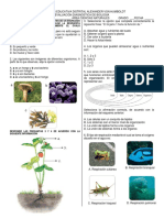 Act - Col - Diagnóstica Biol - G7 - P0 - 2022