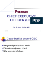 Cg-Ceo Dan Masalahnya