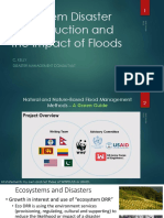 Ecosystem DRR Floods Lincoln Kelly