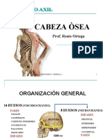 Clase de Craneo (Complementaria) Prof Rosio Ortega