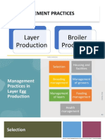 Handout 8. Management Practices