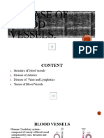 Blood Vessels Disease 3