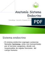 Anatomia Sistema Endocrino