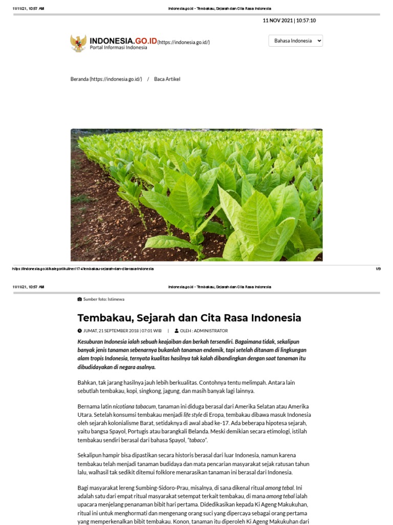 Indonesia - Go.id - Tembakau, Sejarah Dan Cita Rasa Indonesia | PDF