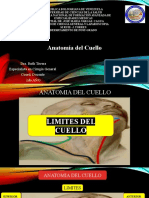 Anatomia Del Cuello Dr. RAUL LOPEZ Nuevo2-1