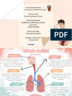 Fisiología Pulmonar