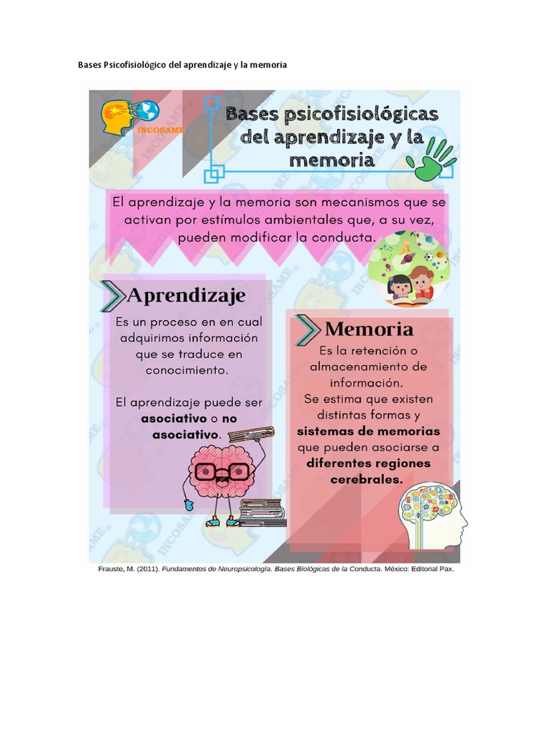 Bases Psicofisiológico Del Aprendizaje y La Memoria | PDF