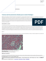 Tinciones Más Frecuentemente Utilizadas para El Estudio Histológico
