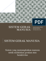 Nama Tulang Manusia