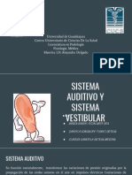 Sistema Auditivo y Sistema Vestibular