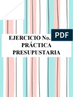 Práctica Presupuestaria 3