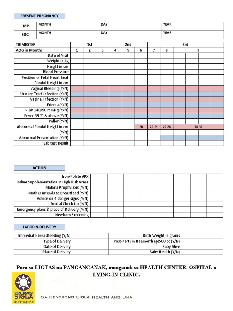 Prenatal Check-Up and Delivery Record | PDF