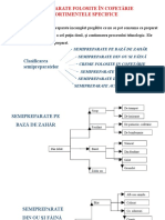 Semipreparate Folosite in Patiseriecofetarie