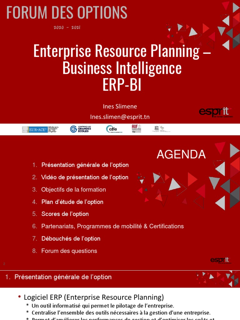 ERP et BI : Présentation de l'Option | PDF | Progiciel de gestion ...