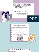 Southern Blot