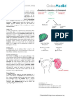 Gynecology Adnexal Mass