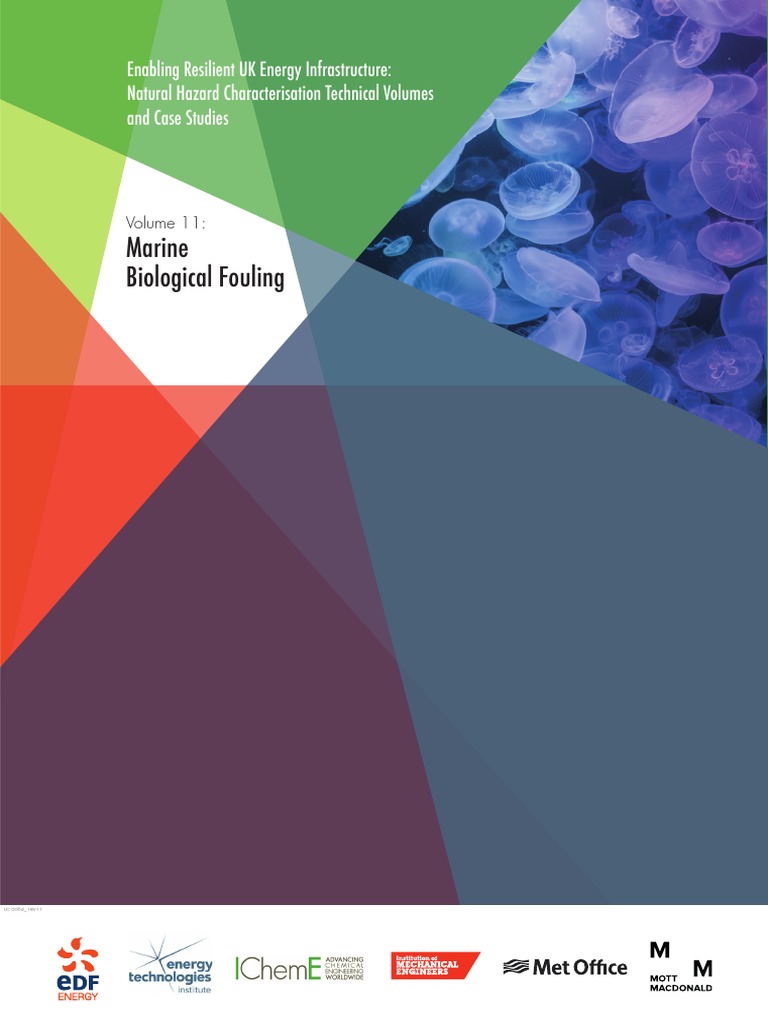Vol11 Marinebiologicalfouling | PDF | Biofilm | Hazards